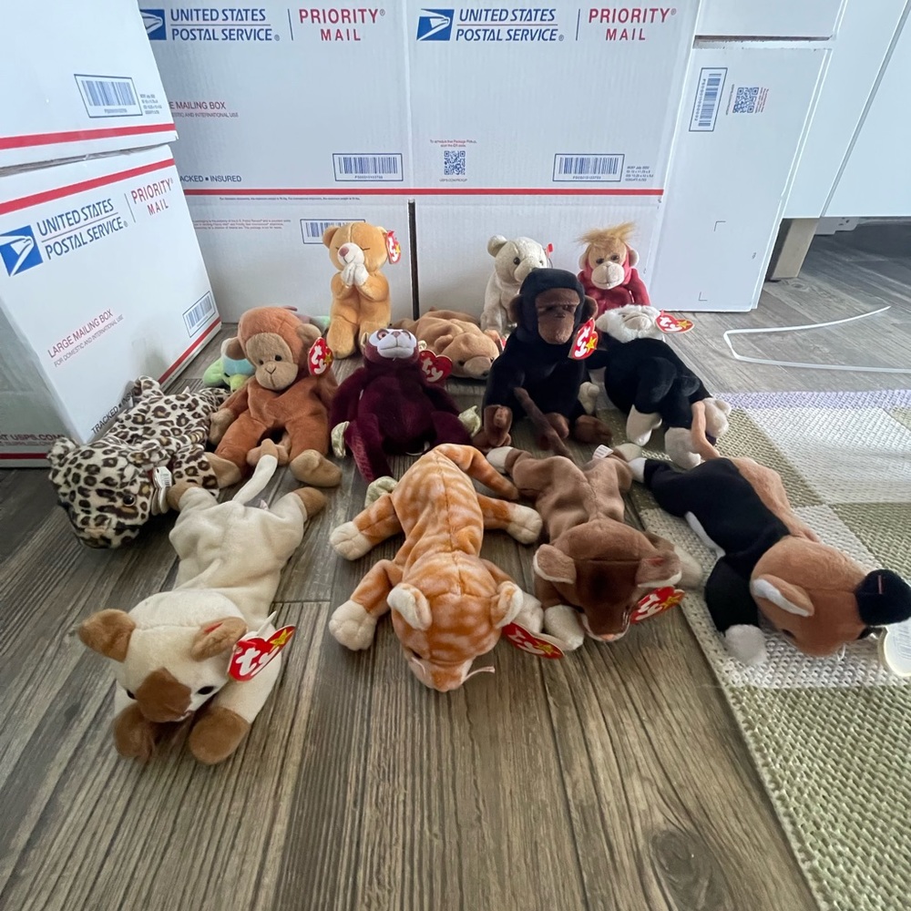 Lot of 14 Ty Beanie Babies